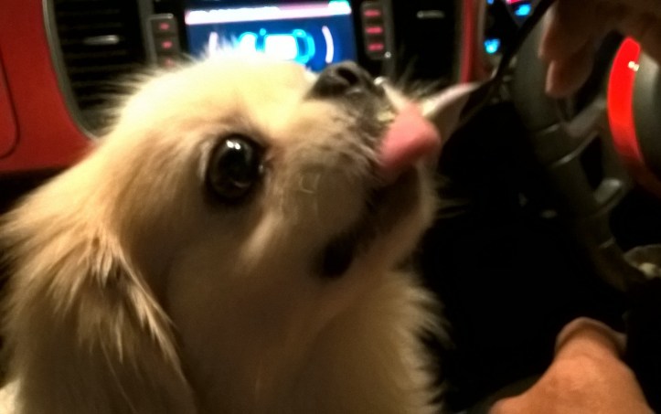 WP_20171026_20_32_30_Pro