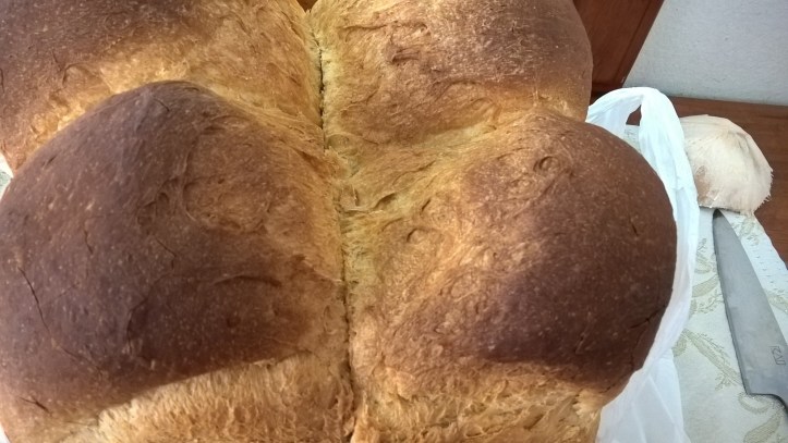 WP_20171027_13_49_17_Pro