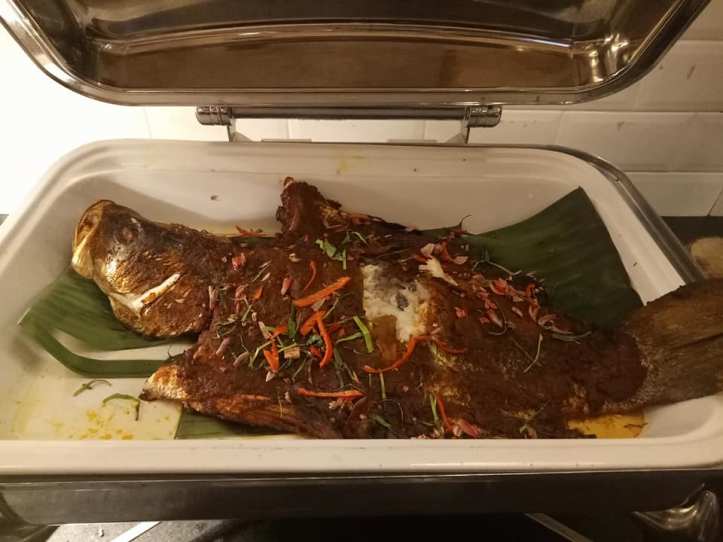 26195762_1572328116169381_7400543838492452627_n