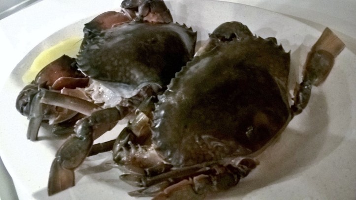 WP_20171231_19_25_12_Pro