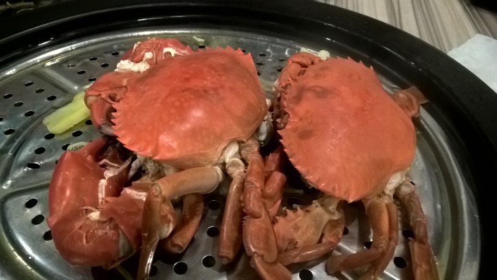 WP_20171231_19_51_42_Pro