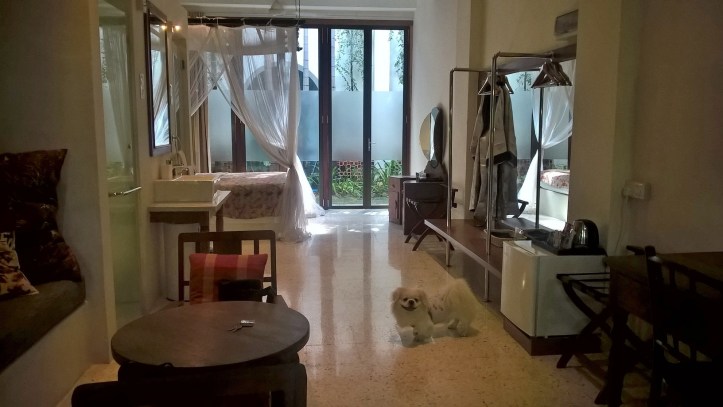 WP_20180109_15_17_43_Pro