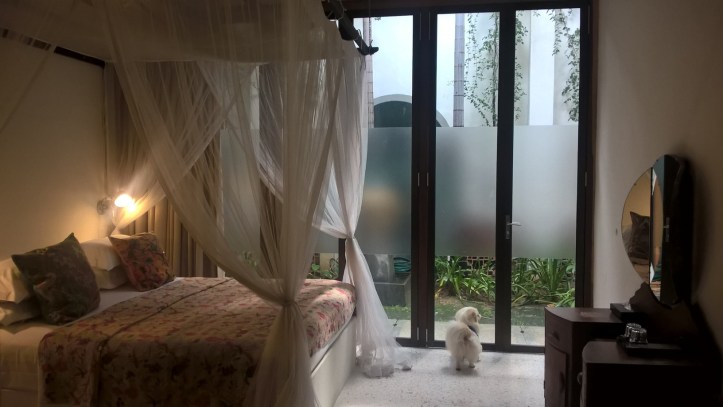 WP_20180109_15_18_48_Pro