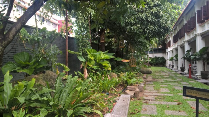 WP_20180109_15_32_36_Pro