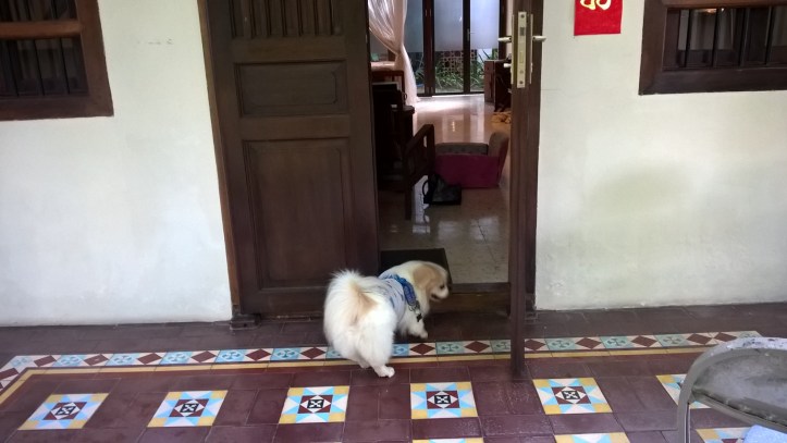 WP_20180109_15_52_20_Pro