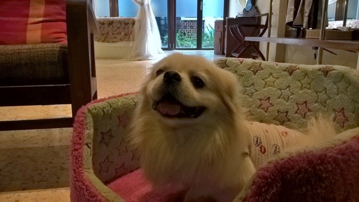 WP_20180109_16_08_39_Pro