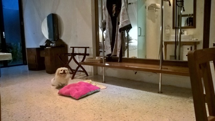 WP_20180109_18_37_51_Pro