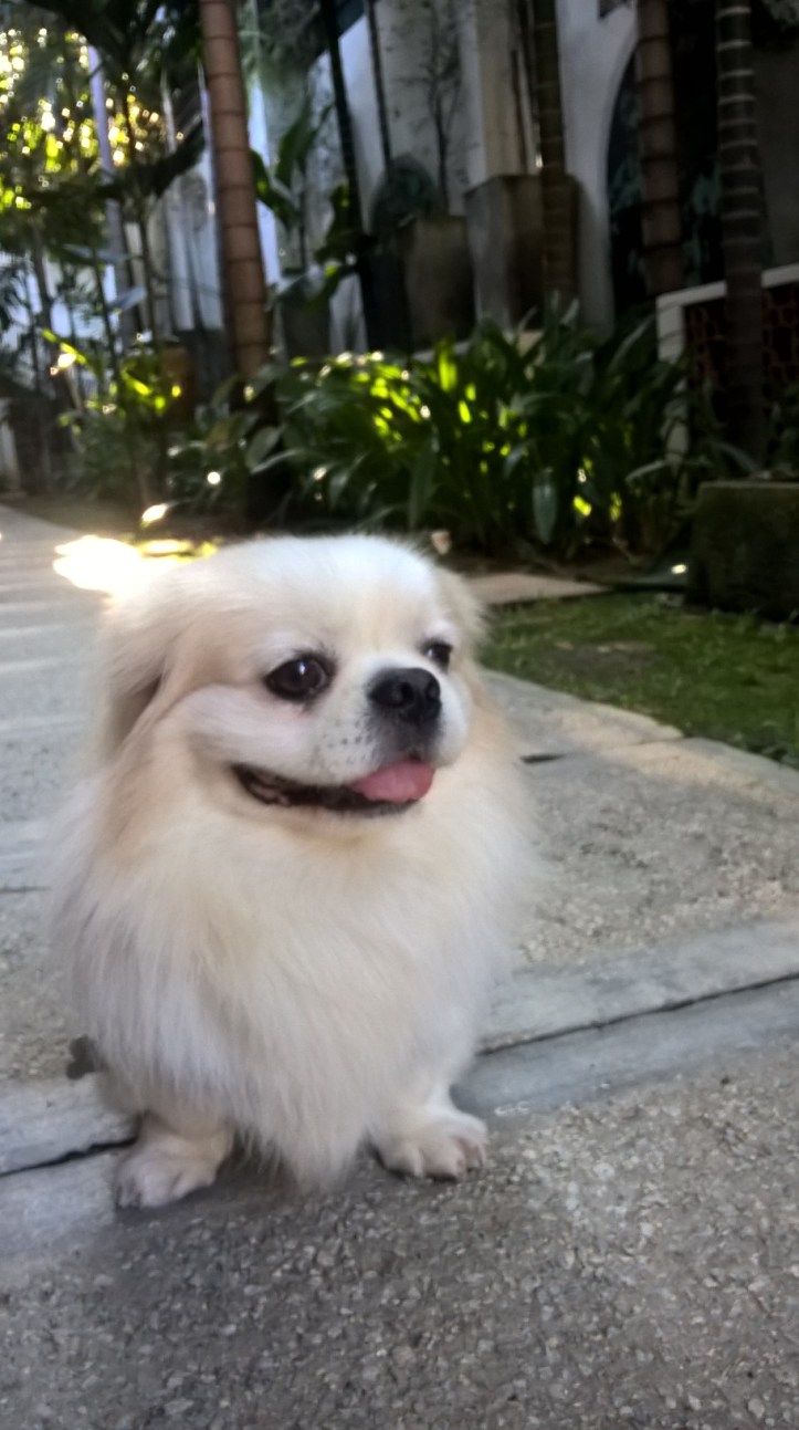 WP_20180110_08_54_36_Pro