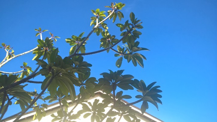 WP_20180110_09_35_22_Pro