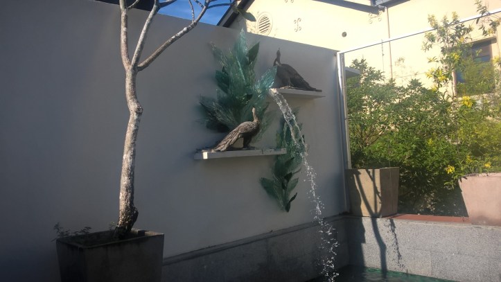 WP_20180110_09_37_31_Pro