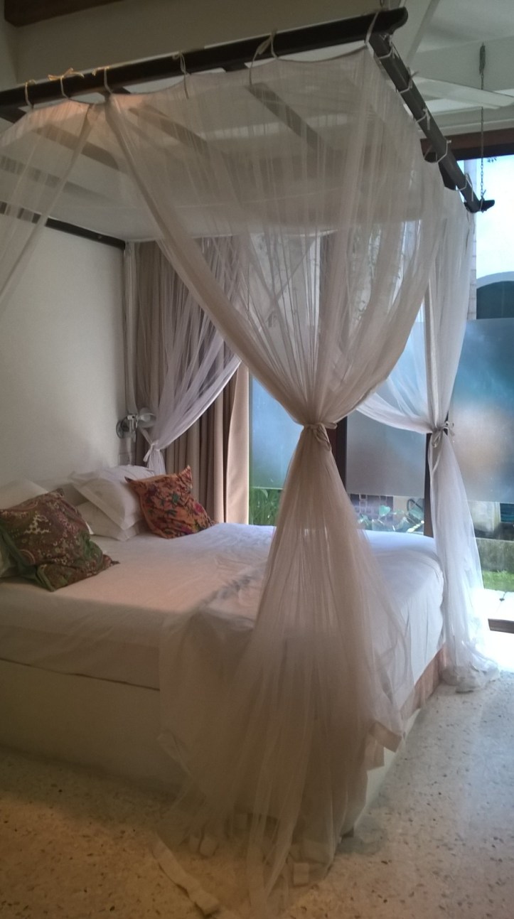 WP_20180110_11_15_39_Pro