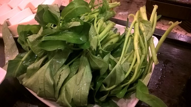 WP_20180121_22_34_33_Pro